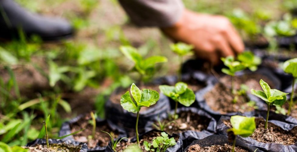 History of HOPE Coffee