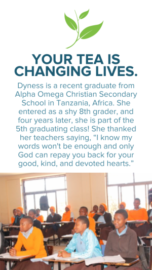 Social Media Story August