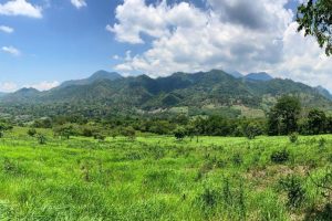 103285733_3347674508578801_1585285310500192669_n 103285733_3347674508578801_1585285310500192669_n