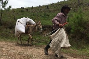 105400777_3410100765669508_2673346754862817573_n 105400777_3410100765669508_2673346754862817573_n