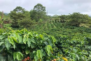 74662430_2823489604330630_420253358683586560_n 74662430_2823489604330630_420253358683586560_n