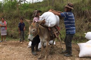 84021346_3410100892336162_80014897843749972_n 84021346_3410100892336162_80014897843749972_n