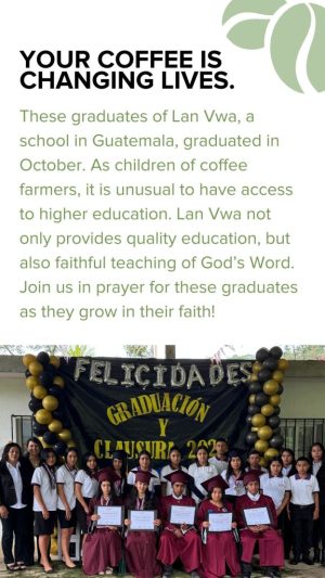 Social Media Posts (Your Story)