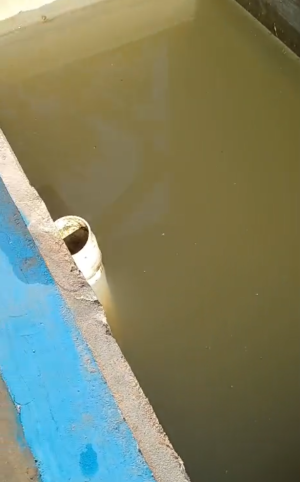 unnamed (12) unnamed (12)