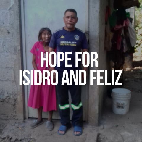 App Impact Story Images (480 x 480 px)