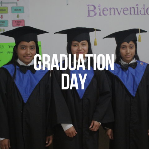 App Impact Story Images (480 x 480 px) (1)